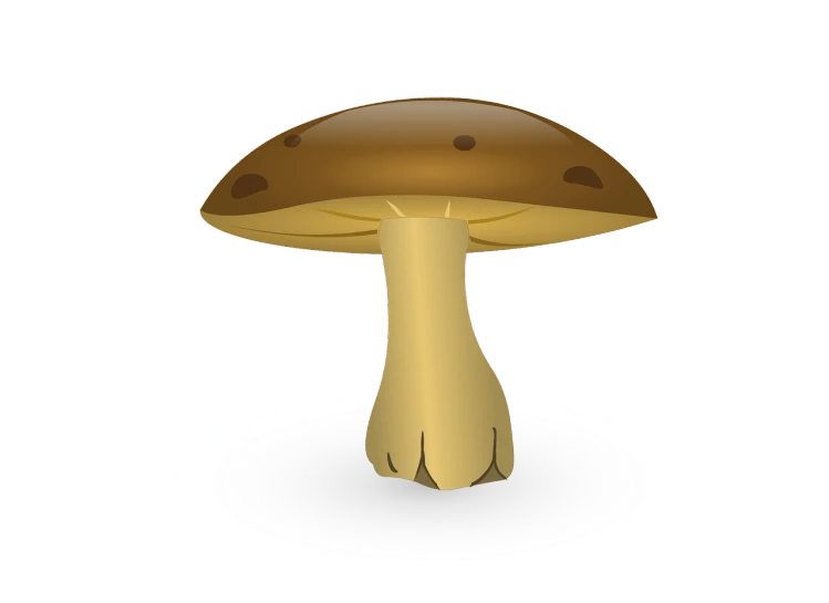 a mushroom sitting on top of a white plate, an illustration of, inspired by Masamitsu Ōta, pixabay, realistic rendering for stool, sharp high detail illustration, golden, full color illustration