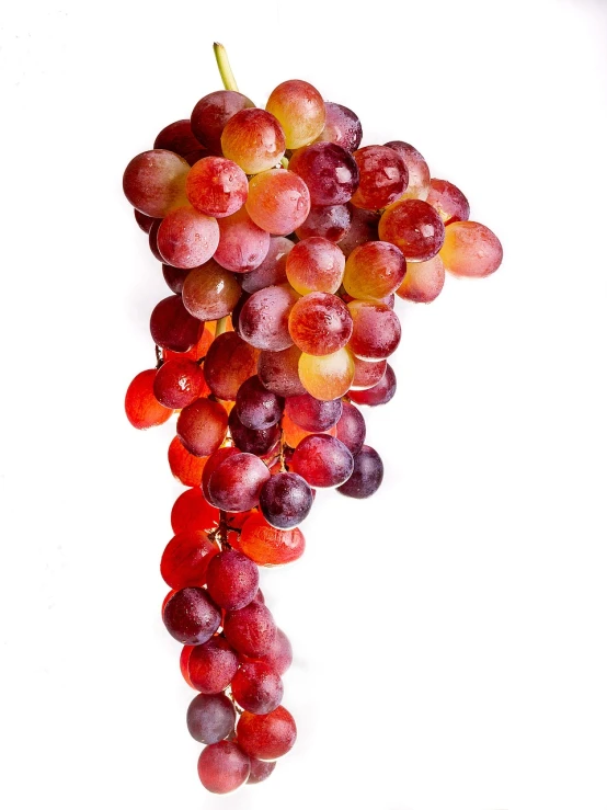 a bunch of grapes on a white surface, by Julian Hatton, red and orange colored, photo illustration, on clear background, new mexico