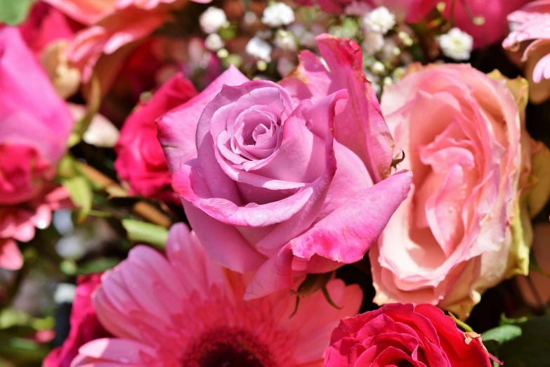 a close up of a bouquet of flowers, romanticism, pink power, detailed zoom photo, a few roses, pink and purple
