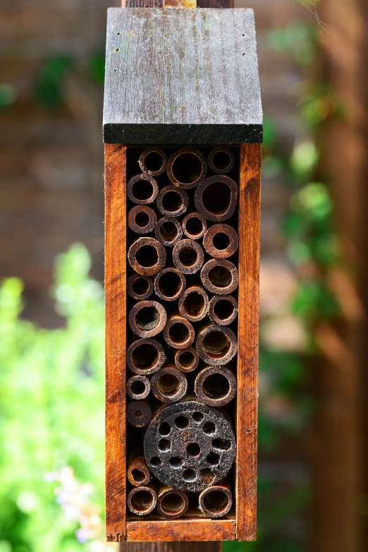 a bug house sitting on top of a wooden pole, by Anna Haifisch, pexels, trypophobia, tubes, 🦩🪐🐞👩🏻🦳, letterbox