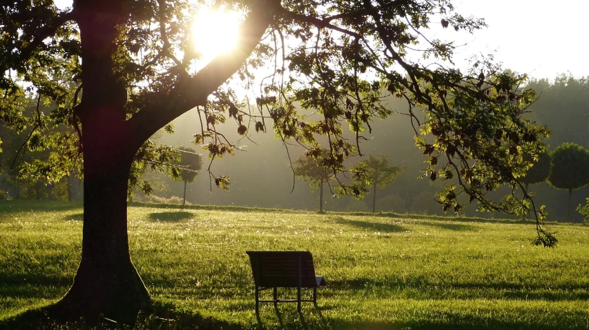 a park bench sitting under a tree in the sun, a picture, by John Clayton Adams, the brilliant dawn on the meadow, green spaces, reading under a tree, at peace