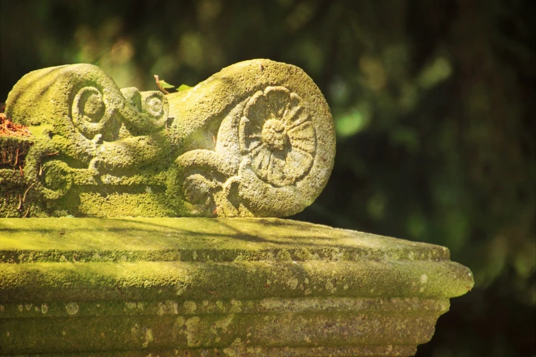 a bird sitting on top of a stone statue, inspired by Otakar Sedloň, flickr, romanesque, ammonites, kerala motifs, mossy stone, sun lighting