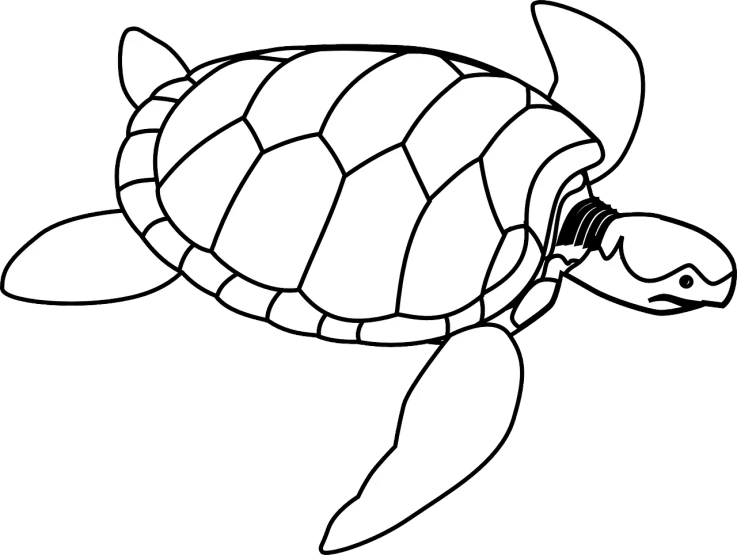 a black and white drawing of a turtle, lineart, pixabay, sea, side view of a gaunt, clean lineart and color, leaf