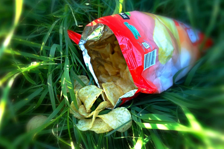 a bag of chips sitting in the grass, photorealism, photorealism. trending on flickr, eating camera pov, sunburn, australian