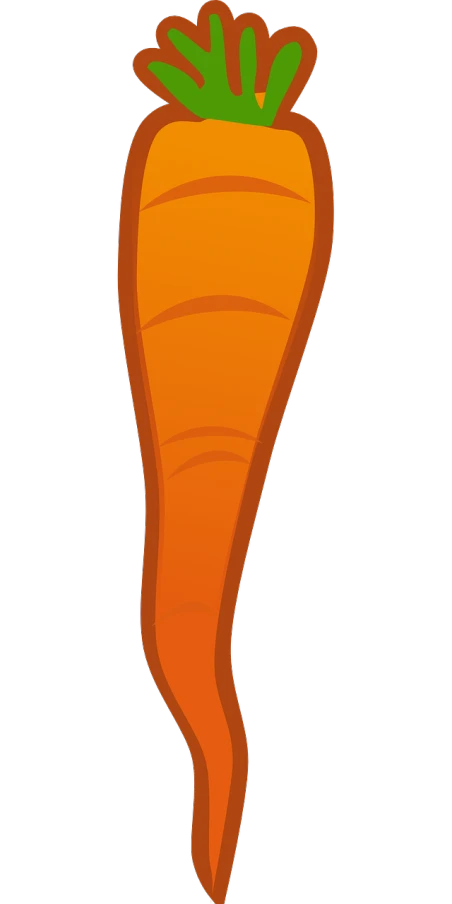 a close up of a carrot on a black background, concept art, inspired by Slava Raškaj, reddit, simple cartoon style, shows a leg, 1128x191 resolution, vectorized