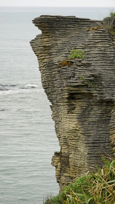 a man standing on top of a cliff next to the ocean, by Robert Brackman, sumatraism, squirrel/tiger, rock texture, new zeeland, stacks