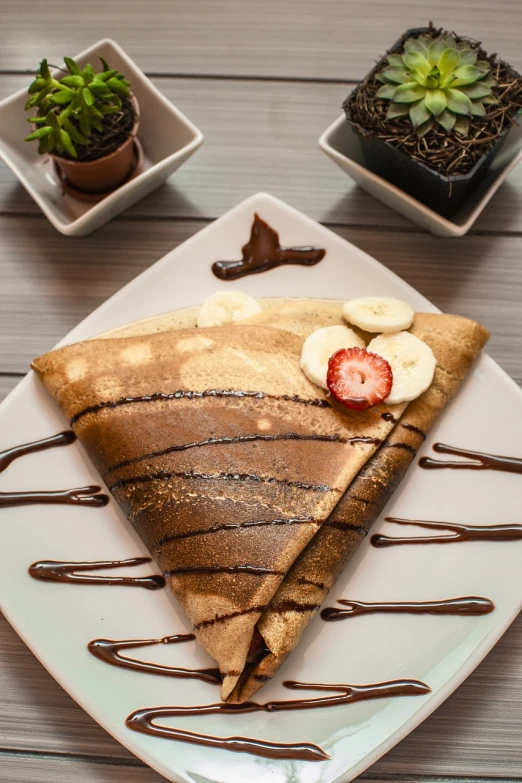 a close up of a plate of food on a table, shutterstock, manta ray made of pancake, fully chocolate, high detail product photo, stock photo
