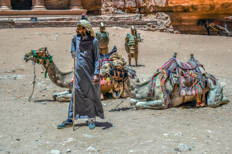 a man standing next to a group of camels, a picture, by Harold von Schmidt, shutterstock, dau-al-set, 🤠 using a 🖥, jordan, resting after a hard fight, usa-sep 20