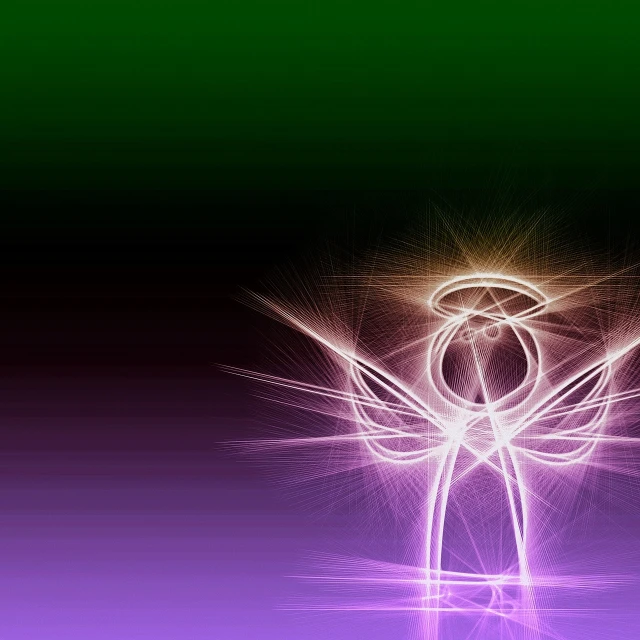 a close up of a flower on a purple and green background, digital art, angel protecting man, illuminated glowing lines, isolated background, light tracing