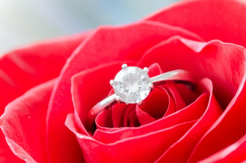 a diamond ring sitting on top of a red rose, a macro photograph, by Julian Allen, close-up product photo, contain, detailed product photo, very accurate photo