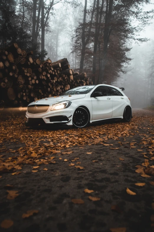 a white car parked in front of a pile of logs, pexels contest winner, 🍂 cute, mercedez benz, epic stance, moist foggy