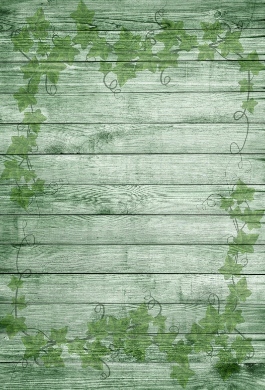 a wooden background with a vine border, a picture, greenish colors, drawn, vienna, background is heavenly
