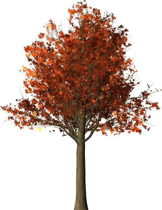 a tree with red leaves on a black background, a raytraced image, polycount, autumn lights colors, 1128x191 resolution, dress of leaves, 8k octae render photo