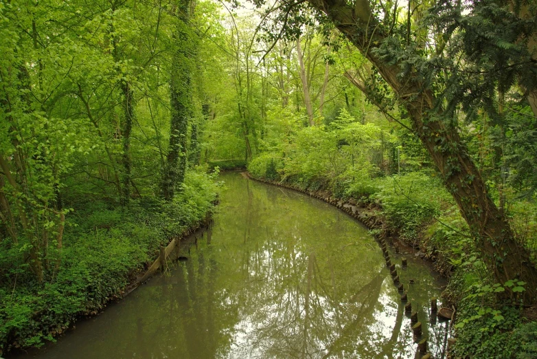 a river running through a lush green forest, a picture, inspired by Henri Biva, flickr, river stour in canterbury, but very good looking”