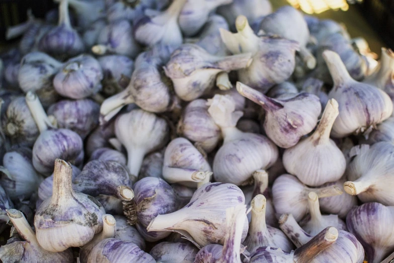 a pile of garlic sitting on top of a table, inspired by Carpoforo Tencalla, pexels, hurufiyya, white and purple, beautiful sunny day, high quality product image”