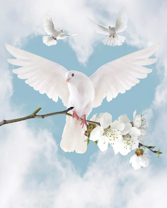 a couple of white birds sitting on top of a tree branch, inspired by Koson Ohara, trending on pixabay, romanticism, majestic big dove wings, - h 1 0 2 4, she is arriving heaven, heart