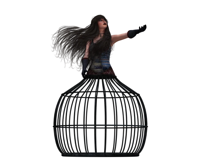 a woman standing on top of a bird cage, a 3D render, inspired by Li Mei-shu, appealing long hair, black canary, untextured, pudica pose gesture