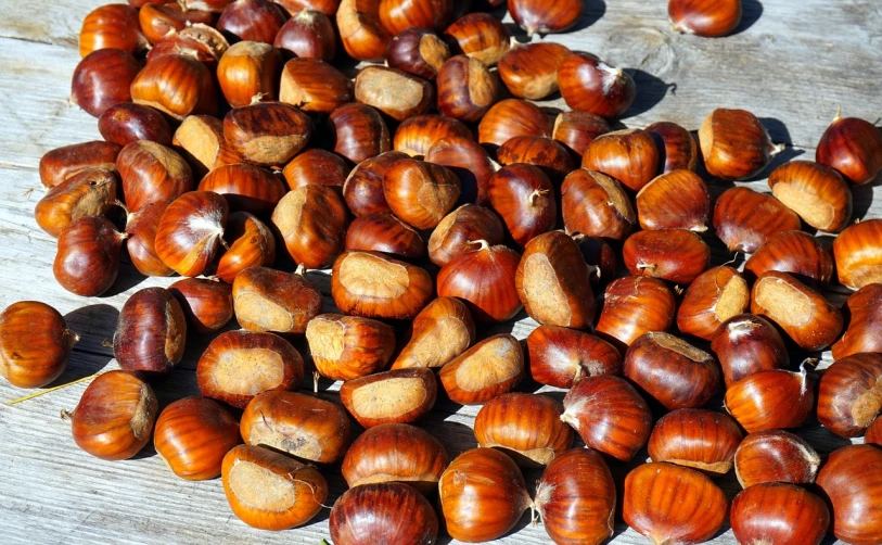 a pile of chestnuts sitting on top of a wooden table, pixabay, on a sunny day, turkey, stockphoto, photo high definition