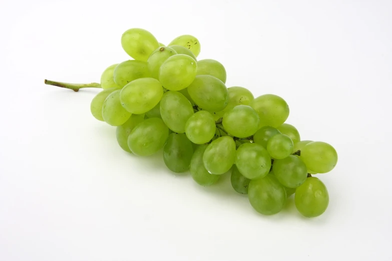 a bunch of green grapes on a white surface, a picture, by Johan Grenier, shutterstock, bauhaus, white background!!!!!!!!!!, viewed from the side, dubai, real ungine