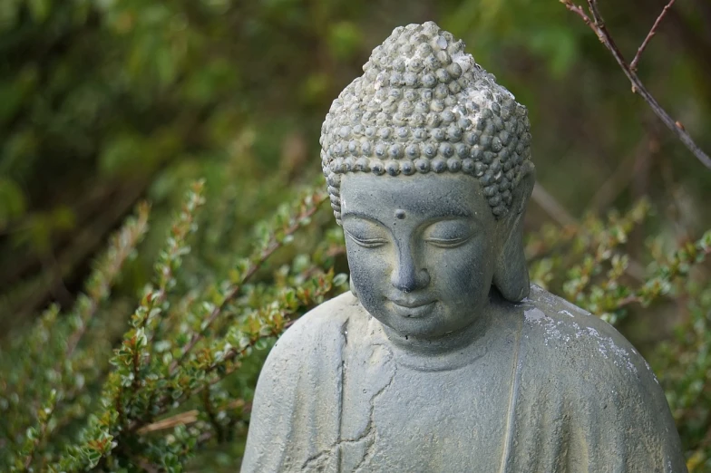 a close up of a statue of a person, inspired by Kaigetsudō Ando, shutterstock, zen natural background, wearing a grey robe, 3 / 4 view portrait, the buddha