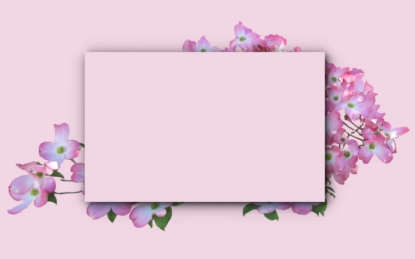 a frame with pink flowers on a pink background, inspired by Frederick Goodall, trending on pixabay, blank paper, widescreen, sakura bloomimg, with notes