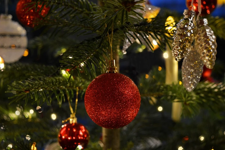 a close up of a christmas tree with ornaments, a picture, by Jakob Gauermann, pexels, realism, glowing red, stock photo, early evening, detailed zoom photo