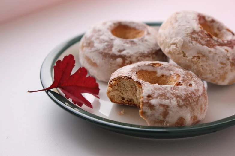 three donuts on a plate with a red leaf, abomasnow, highly detalied, bread, discovered photo