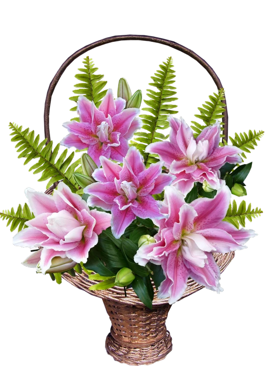 a basket filled with lots of pink flowers, a digital rendering, big lilies, on black background, 💣 💥💣 💥, hou china