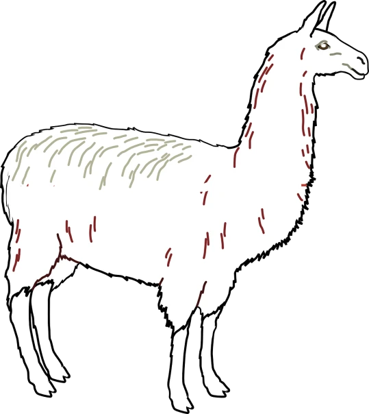a white llama standing in front of a black background, an illustration of, by David Budd, mingei, mspaint, reddish, high detail illustration, plan