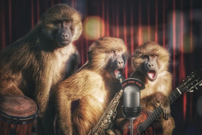 a group of monkeys standing next to each other, an album cover, by Dave Melvin, shutterstock, art nouveau, shot on sony a 7 iii, 3 jazz musicians, close - up studio photo, rule of third!!!!