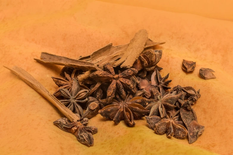 a pile of star anise sitting on top of a table, by Hans Fischer, in front of an orange background, highly detailed product photo, chewing tobacco, high detail photo