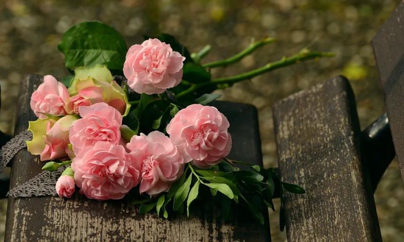 a bunch of pink flowers sitting on top of a wooden bench, a picture, by Maksimilijan Vanka, pixabay, romanticism, 17th-century, rose twining, carnation, exquisitely detailed