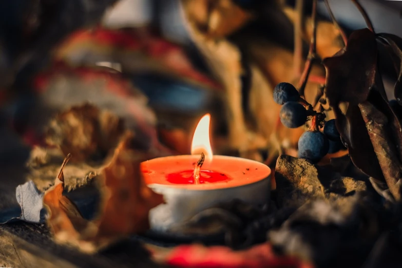 a lit candle sitting on top of a pile of leaves, pexels, digital art, red and orange colored, home wicca scene, made of wax and oil, middle close up composition