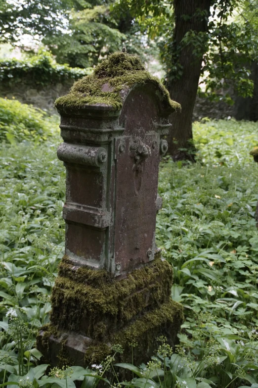 a moss covered post sitting in the middle of a forest, vanitas, letterbox, with ornamental edges, joseph todorovitch, many years gone