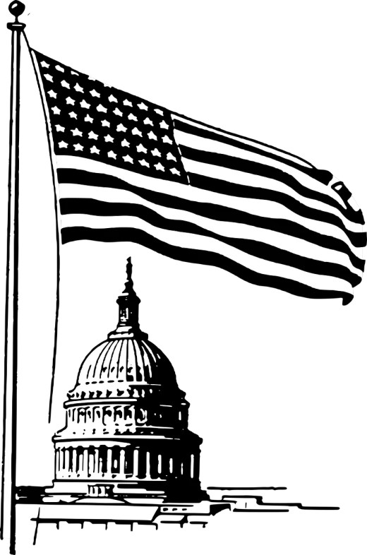 a black and white photo of a flag flying in front of a building, by Mike Bierek, pixabay, fine art, engraved vector, capitol hill, silhouette :7, american velvet painting