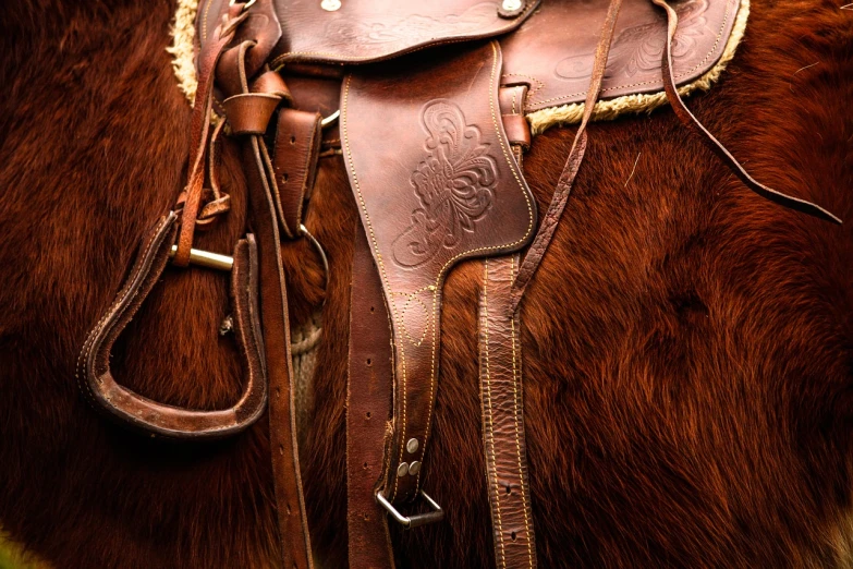 a close up of a saddle on a horse, a portrait, flickr, huge belt, detailed ”