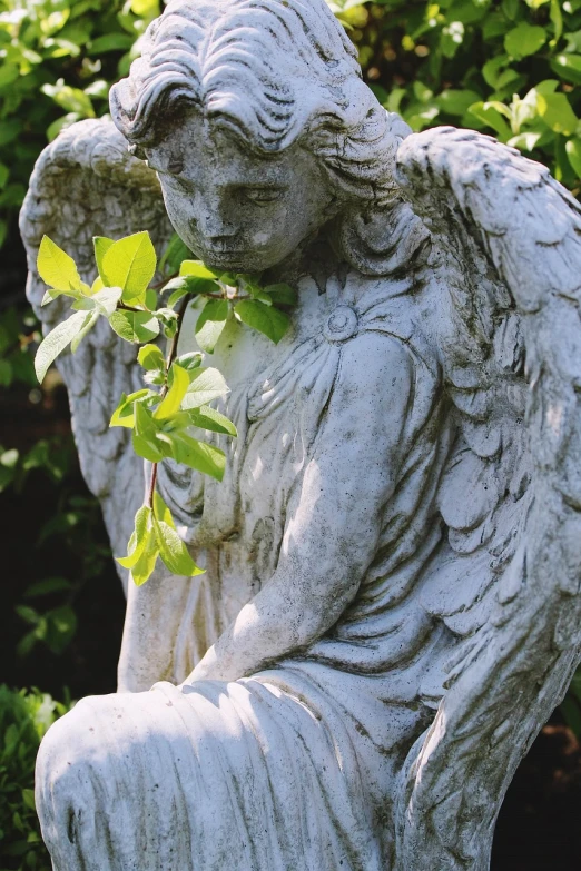a statue of an angel holding a plant, trending on pixabay, visual art, shot on kodak vision 200t, contemplative, a quaint, shaded
