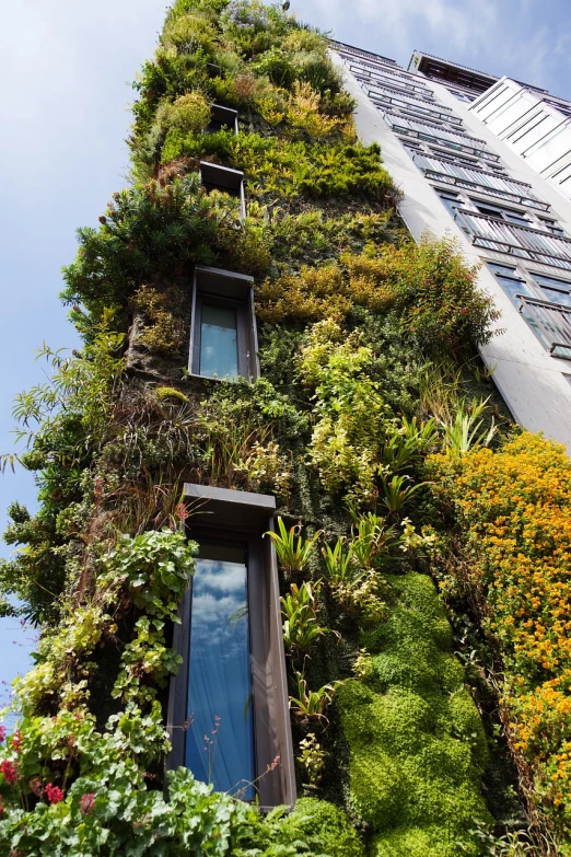 a tall building with plants growing on the side of it, a photo, shutterstock, ecological art, lush plants and flowers, singapore, home and garden, shot on leica