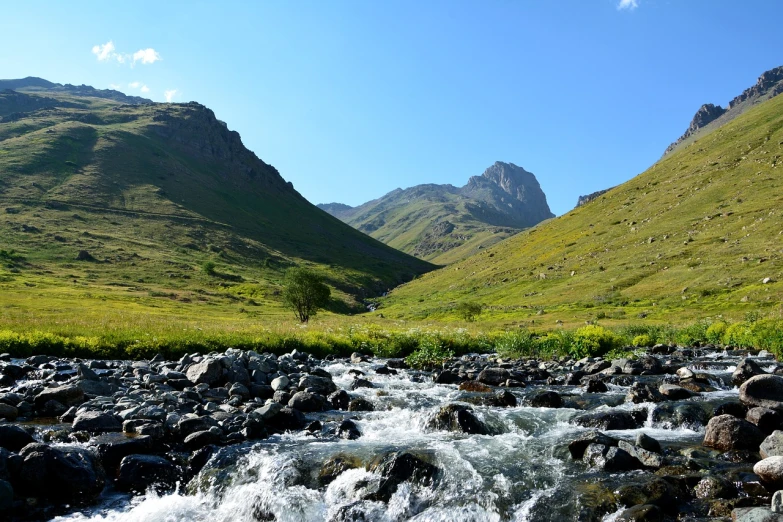 a river running through a lush green valley, a picture, by Muggur, flickr, hurufiyya, mountain behind meadow, landscape of africa, sparkling in the flowing creek, biggish nose