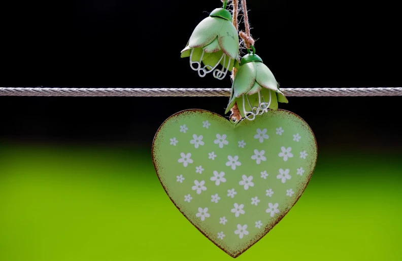 a heart hanging on a rope with flowers on it, by January Suchodolski, flickr, green colored theme, close - ups, light - hearted, sandra chevier