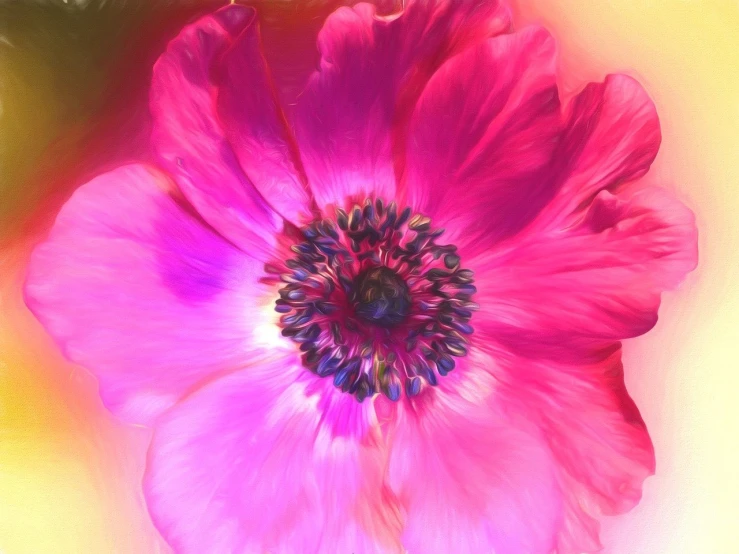 a close up of a pink flower on a table, a digital painting, digital art, looking up. poppies, vivid color glow, anemone, viewed from above