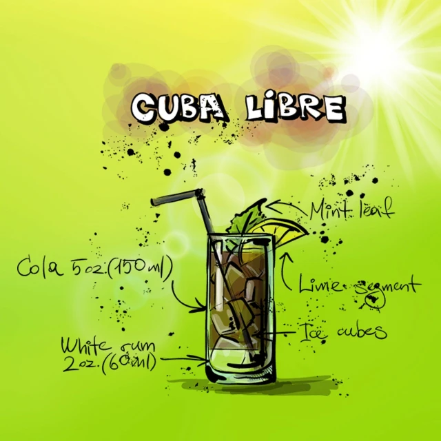 a drawing of a drink with a straw and a garnish garnish garnish garnish garnish garnish, by Federico Uribe, figuration libre, beautiful sunny day, cuba, labeled diagram, sunbeams. digital illustration