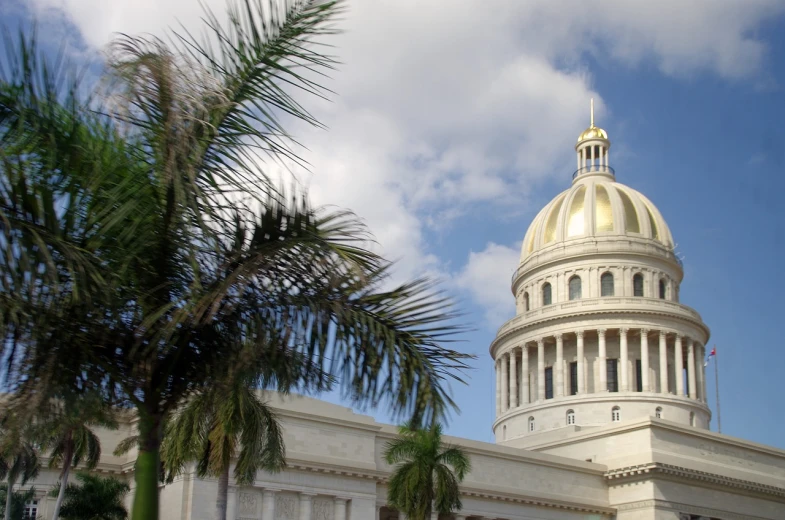 a large white building with a gold dome, palm, roxie vizcarra, capitol building, caio santos