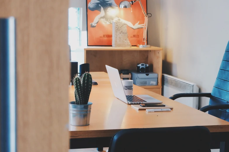 a laptop computer sitting on top of a wooden desk, a picture, pexels, office interior, with cactus plants in the room, cubical meeting room office, high res photo