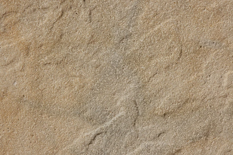 a bird that is standing in the sand, an ultrafine detailed painting, inspired by Saitō Kiyoshi, sōsaku hanga, sandstone, seamless micro detail, stone facade, ultrafine detail ”