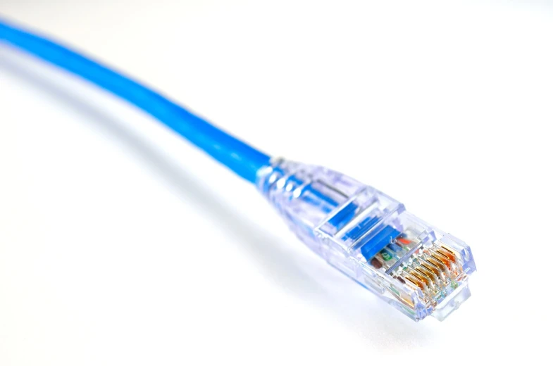 a close up of a blue ethernet cable, by Julian Allen, shutterstock, embedded in clear epoxy, on white, cat tail, close-up product photo