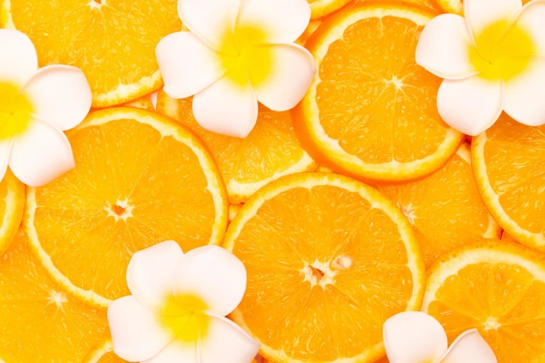 a bunch of orange slices with white flowers, shutterstock contest winner, tropics, ultra settings, wallpaper - 1 0 2 4, perfume