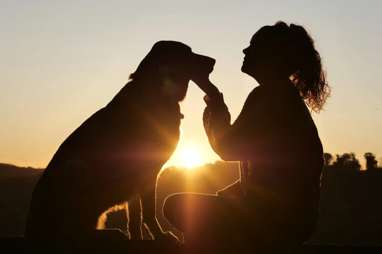 a couple of dogs sitting next to each other, by Zofia Stryjenska, shutterstock, romanticism, silhouette of a girl and her cat, sun rise, hero shot, hand