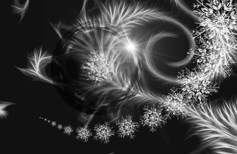 a black and white photo of a spiral, digital art, inspired by Benoit B. Mandelbrot, generative art, glowing snow, flowers around, winter scene fantasy, wallpaper mobile