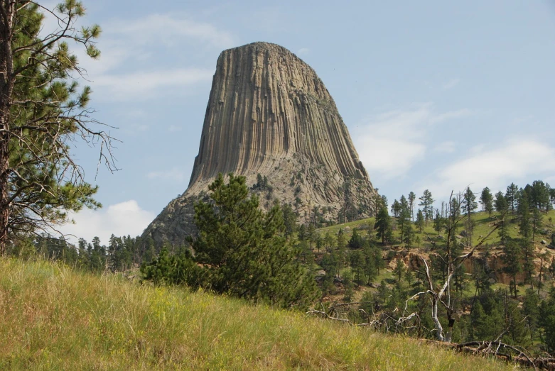 a man riding a horse on top of a lush green hillside, a picture, by Dennis Ashbaugh, flickr, giant towering pillars, cone shaped, beaver, pine